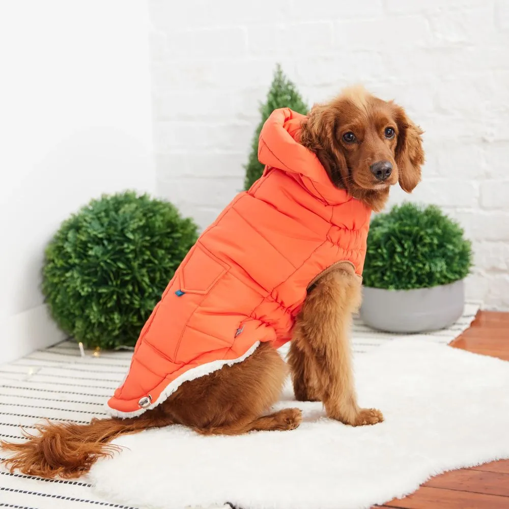 Super Puff Parka in Orange